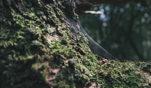 The highest standard in cyber security certifications